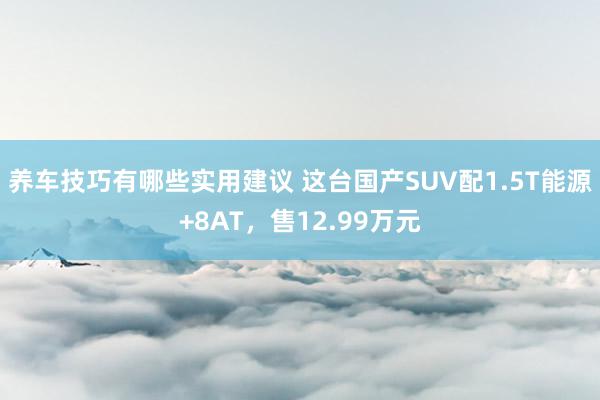 养车技巧有哪些实用建议 这台国产SUV配1.5T能源+8AT，售12.99万元