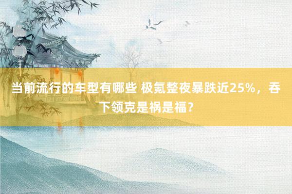 当前流行的车型有哪些 极氪整夜暴跌近25%，吞下领克是祸是福？