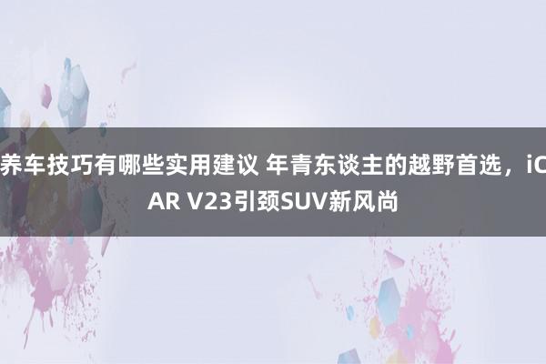 养车技巧有哪些实用建议 年青东谈主的越野首选，iCAR V23引颈SUV新风尚