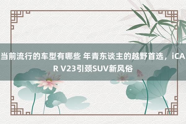 当前流行的车型有哪些 年青东谈主的越野首选，iCAR V23引颈SUV新风俗