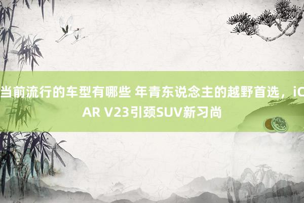 当前流行的车型有哪些 年青东说念主的越野首选，iCAR V23引颈SUV新习尚