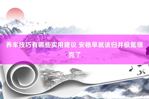 养车技巧有哪些实用建议 安稳早就该归并极氪领克了