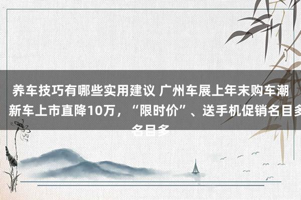 养车技巧有哪些实用建议 广州车展上年末购车潮：新车上市直降10万，“限时价”、送手机促销名目多