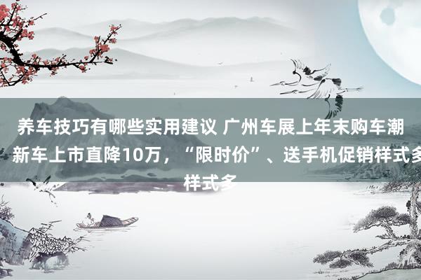 养车技巧有哪些实用建议 广州车展上年末购车潮：新车上市直降10万，“限时价”、送手机促销样式多