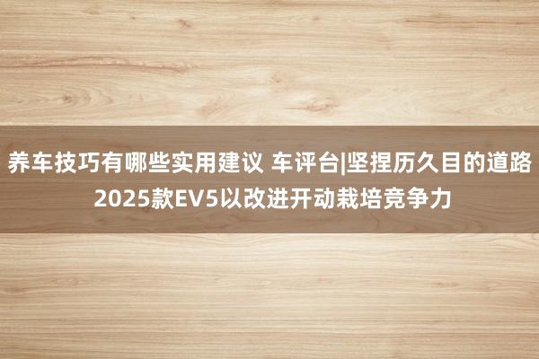 养车技巧有哪些实用建议 车评台|坚捏历久目的道路 2025款EV5以改进开动栽培竞争力