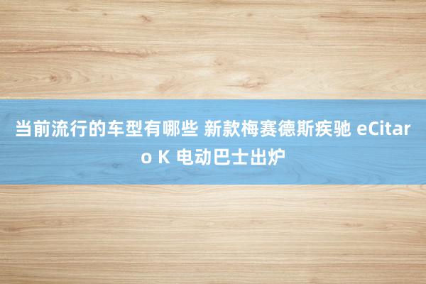 当前流行的车型有哪些 新款梅赛德斯疾驰 eCitaro K 电动巴士出炉