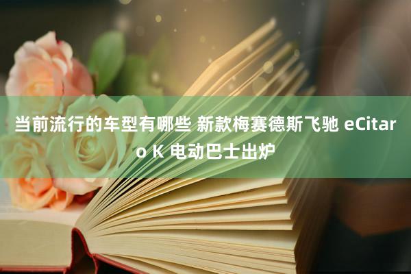 当前流行的车型有哪些 新款梅赛德斯飞驰 eCitaro K 电动巴士出炉