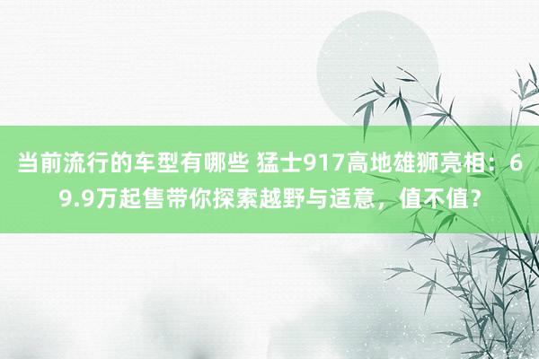 当前流行的车型有哪些 猛士917高地雄狮亮相：69.9万起售带你探索越野与适意，值不值？