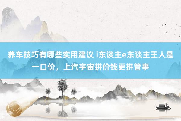 养车技巧有哪些实用建议 i东谈主e东谈主王人是一口价，上汽宇宙拼价钱更拼管事