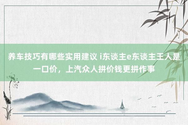 养车技巧有哪些实用建议 i东谈主e东谈主王人是一口价，上汽众人拼价钱更拼作事