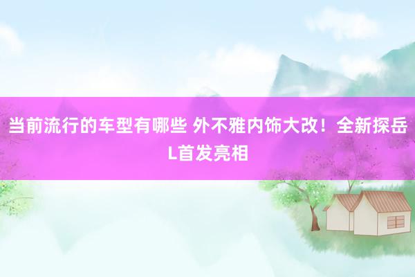 当前流行的车型有哪些 外不雅内饰大改！全新探岳L首发亮相