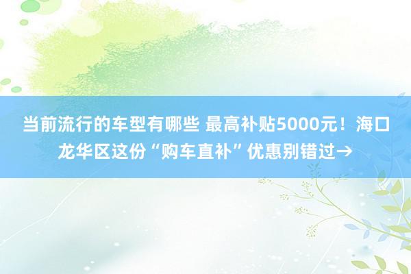 当前流行的车型有哪些 最高补贴5000元！海口龙华区这份“购车直补”优惠别错过→