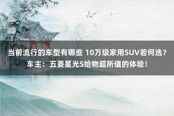 当前流行的车型有哪些 10万级家用SUV若何选？车主：五菱星光S给物超所值的体验！