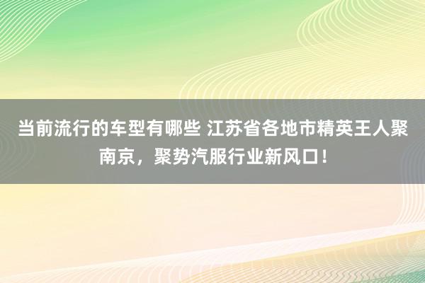 当前流行的车型有哪些 江苏省各地市精英王人聚南京，聚势汽服行业新风口！