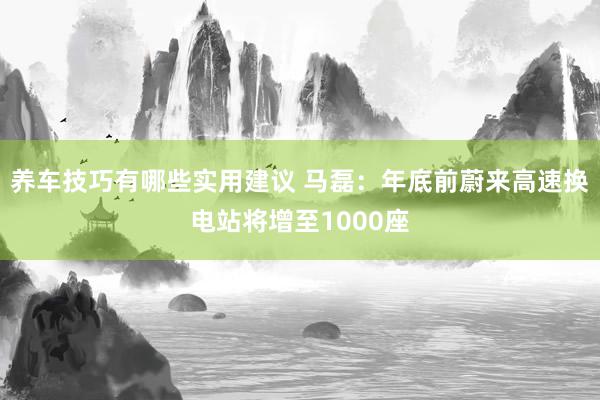 养车技巧有哪些实用建议 马磊：年底前蔚来高速换电站将增至1000座