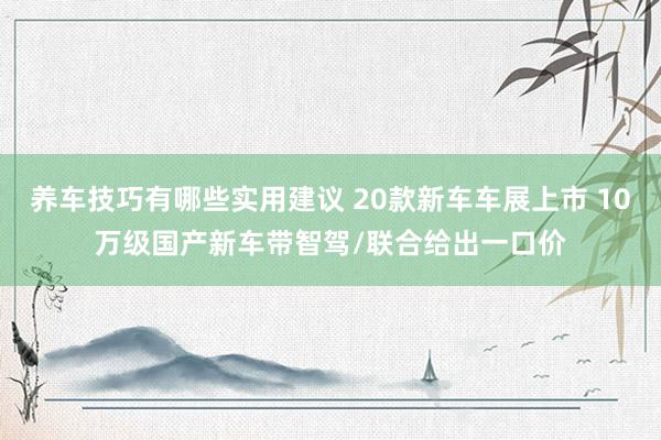 养车技巧有哪些实用建议 20款新车车展上市 10万级国产新车带智驾/联合给出一口价