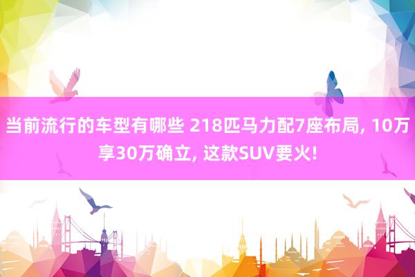 当前流行的车型有哪些 218匹马力配7座布局, 10万享30万确立, 这款SUV要火!