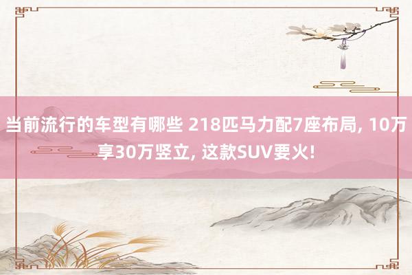 当前流行的车型有哪些 218匹马力配7座布局, 10万享30万竖立, 这款SUV要火!