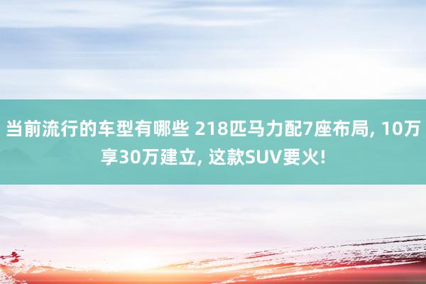 当前流行的车型有哪些 218匹马力配7座布局, 10万享30万建立, 这款SUV要火!