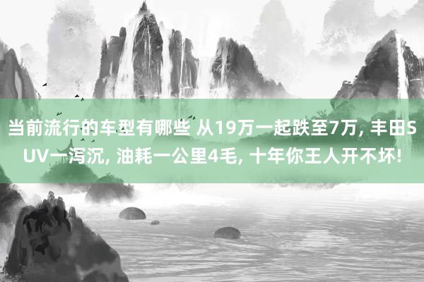 当前流行的车型有哪些 从19万一起跌至7万, 丰田SUV一泻沉, 油耗一公里4毛, 十年你王人开不坏!