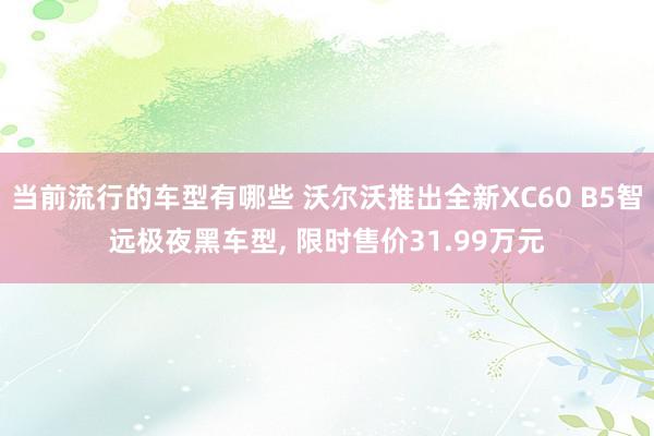 当前流行的车型有哪些 沃尔沃推出全新XC60 B5智远极夜黑车型, 限时售价31.99万元