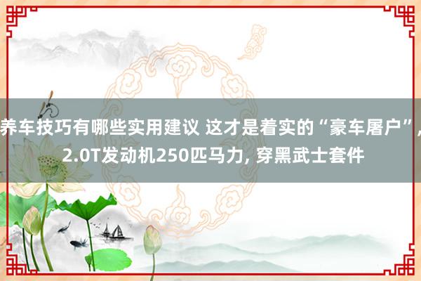 养车技巧有哪些实用建议 这才是着实的“豪车屠户”, 2.0T发动机250匹马力, 穿黑武士套件