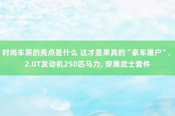 时尚车展的亮点是什么 这才是果真的“豪车屠户”, 2.0T发动机250匹马力, 穿黑武士套件