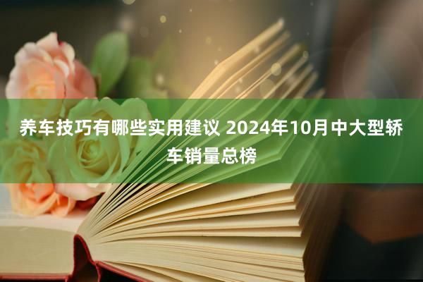 养车技巧有哪些实用建议 2024年10月中大型轿车销量总榜