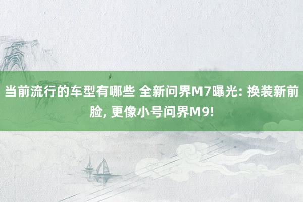 当前流行的车型有哪些 全新问界M7曝光: 换装新前脸, 更像小号问界M9!