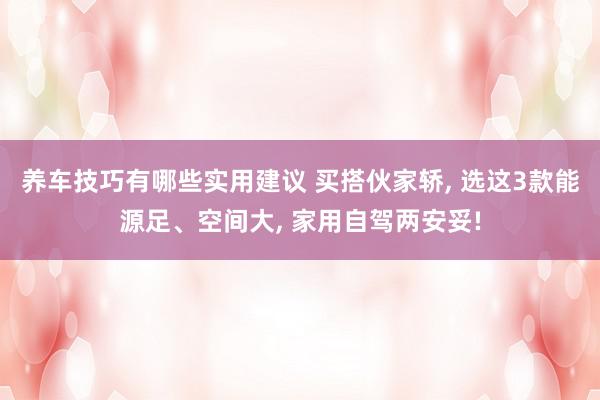 养车技巧有哪些实用建议 买搭伙家轿, 选这3款能源足、空间大, 家用自驾两安妥!