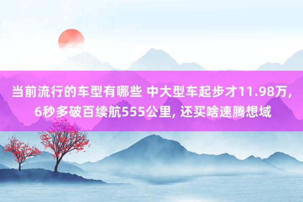 当前流行的车型有哪些 中大型车起步才11.98万, 6秒多破百续航555公里, 还买啥速腾想域