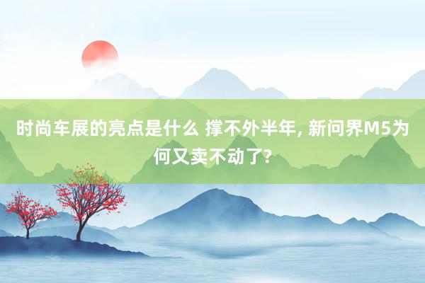 时尚车展的亮点是什么 撑不外半年, 新问界M5为何又卖不动了?