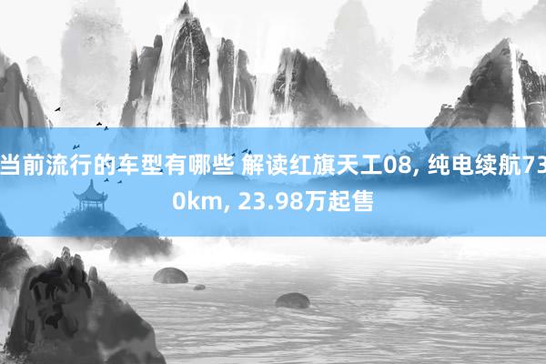 当前流行的车型有哪些 解读红旗天工08, 纯电续航730km, 23.98万起售