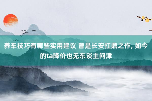 养车技巧有哪些实用建议 曾是长安扛鼎之作, 如今的ta降价也无东谈主问津