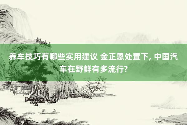 养车技巧有哪些实用建议 金正恩处置下, 中国汽车在野鲜有多流行?