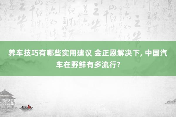 养车技巧有哪些实用建议 金正恩解决下, 中国汽车在野鲜有多流行?