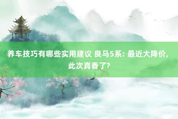 养车技巧有哪些实用建议 良马5系: 最近大降价, 此次真香了?