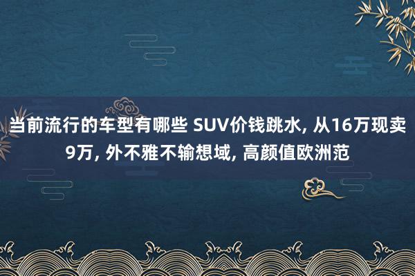 当前流行的车型有哪些 SUV价钱跳水, 从16万现卖9万, 外不雅不输想域, 高颜值欧洲范