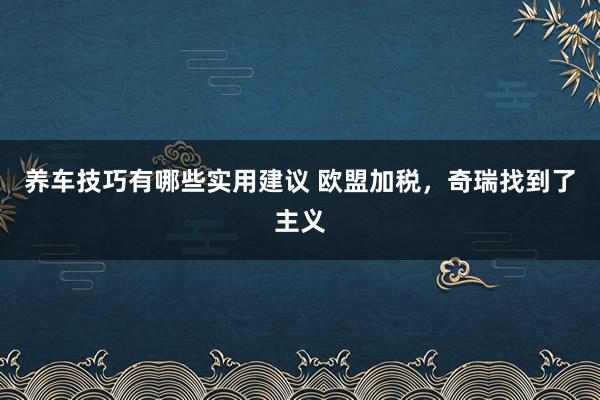 养车技巧有哪些实用建议 欧盟加税，奇瑞找到了主义