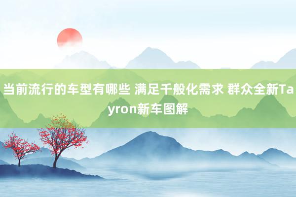 当前流行的车型有哪些 满足千般化需求 群众全新Tayron新车图解