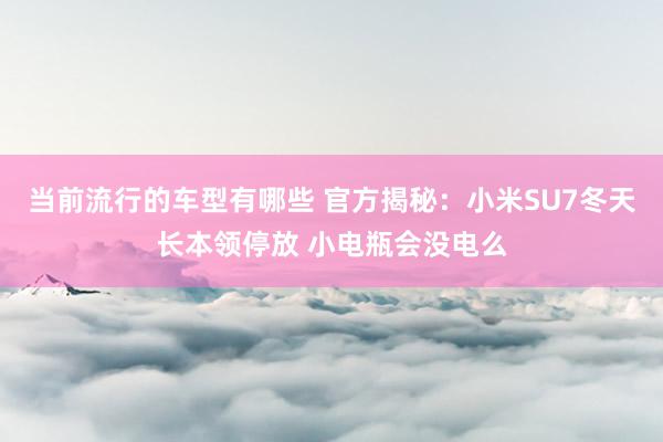 当前流行的车型有哪些 官方揭秘：小米SU7冬天长本领停放 小电瓶会没电么