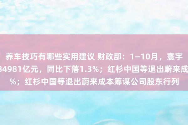 养车技巧有哪些实用建议 财政部：1—10月，寰宇一般巨匠预算收入184981亿元，同比下落1.3%；红杉中国等退出蔚来成本筹谋公司股东行列