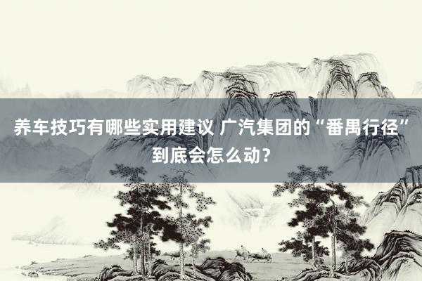 养车技巧有哪些实用建议 广汽集团的“番禺行径”到底会怎么动？