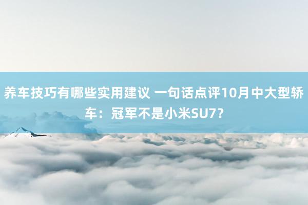 养车技巧有哪些实用建议 一句话点评10月中大型轿车：冠军不是小米SU7？