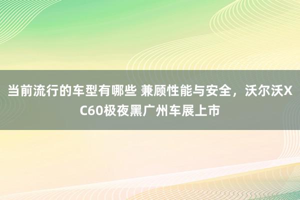 当前流行的车型有哪些 兼顾性能与安全，沃尔沃XC60极夜黑广州车展上市