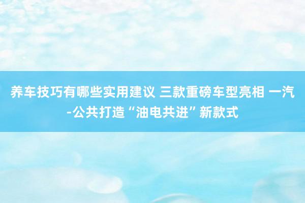 养车技巧有哪些实用建议 三款重磅车型亮相 一汽-公共打造“油电共进”新款式