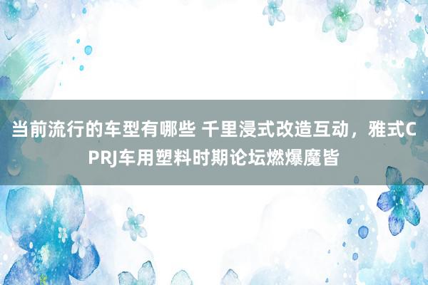 当前流行的车型有哪些 千里浸式改造互动，雅式CPRJ车用塑料时期论坛燃爆魔皆