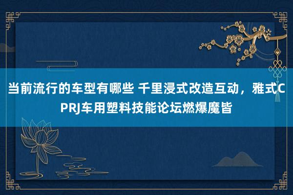 当前流行的车型有哪些 千里浸式改造互动，雅式CPRJ车用塑料技能论坛燃爆魔皆