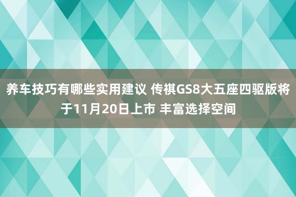 养车技巧有哪些实用建议 传祺GS8大五座四驱版将于11月20日上市 丰富选择空间