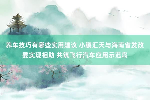 养车技巧有哪些实用建议 小鹏汇天与海南省发改委实现相助 共筑飞行汽车应用示范岛